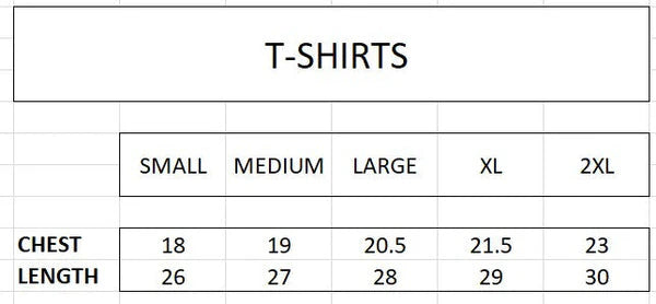 Pack of Two Shirts Deal