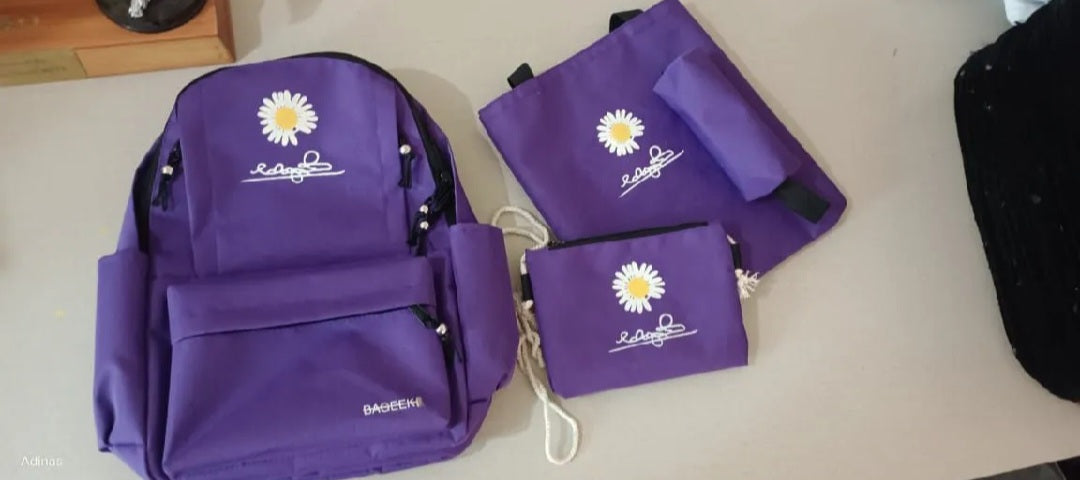Pack of 4 college Bags