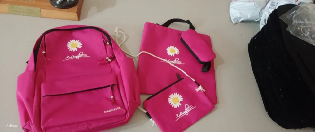 Pack of 4 college Bags